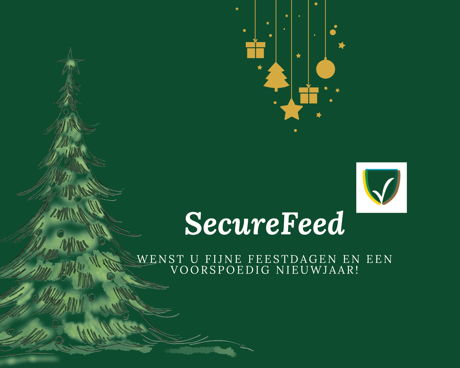 Fijne feestdagen en een voorspoedig 2025!