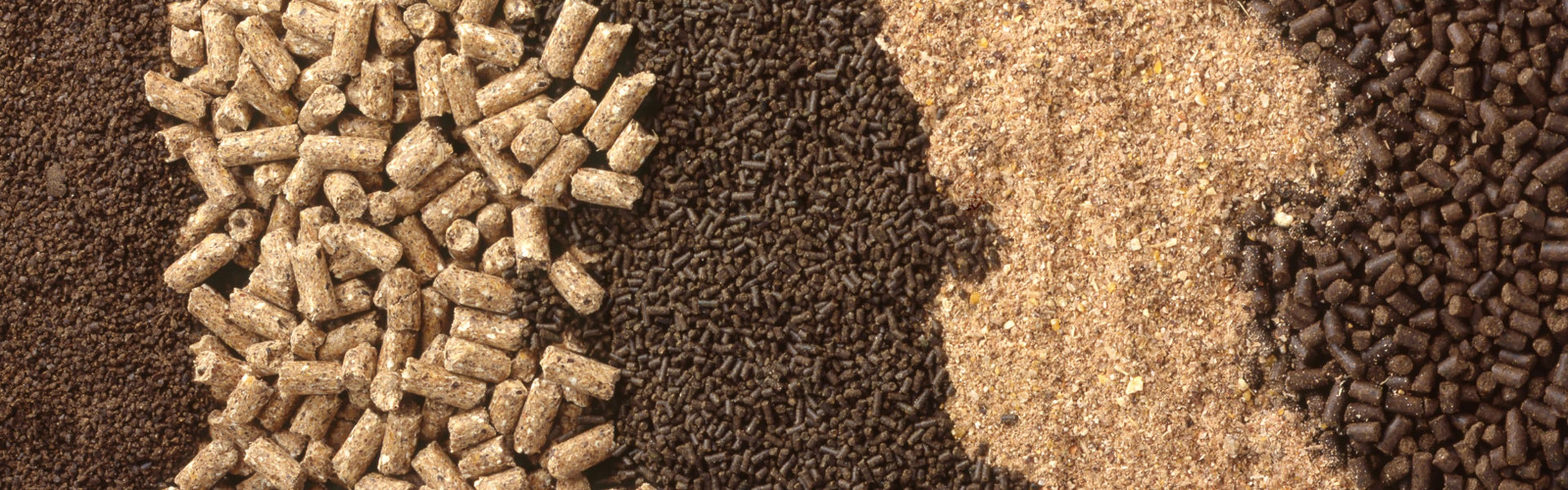 https://a.storyblok.com/f/280188/1600x500/63992b1d98/specifieke-productvoorwaarden-header.jpg